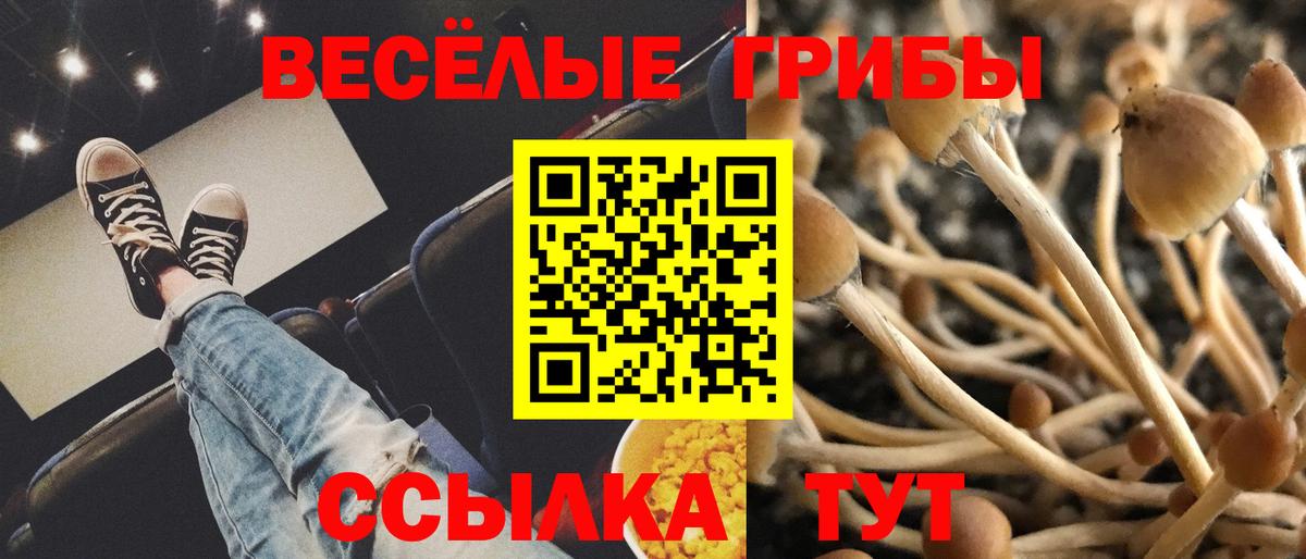 Бор  Псилоцибиновые грибы мухоморы  Вход с VPN 